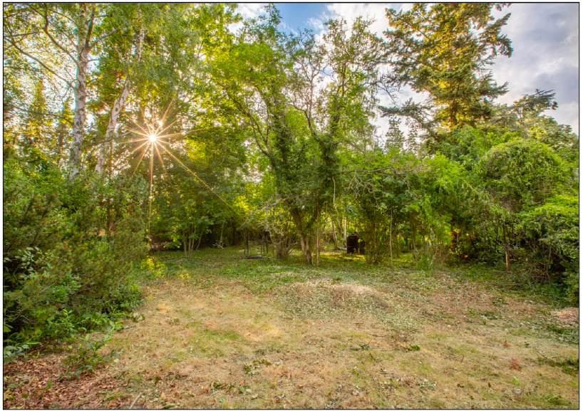 Am Anger 8 – Spacious Villa Development Plot in a Prestigious Berlin-Dahlem Location