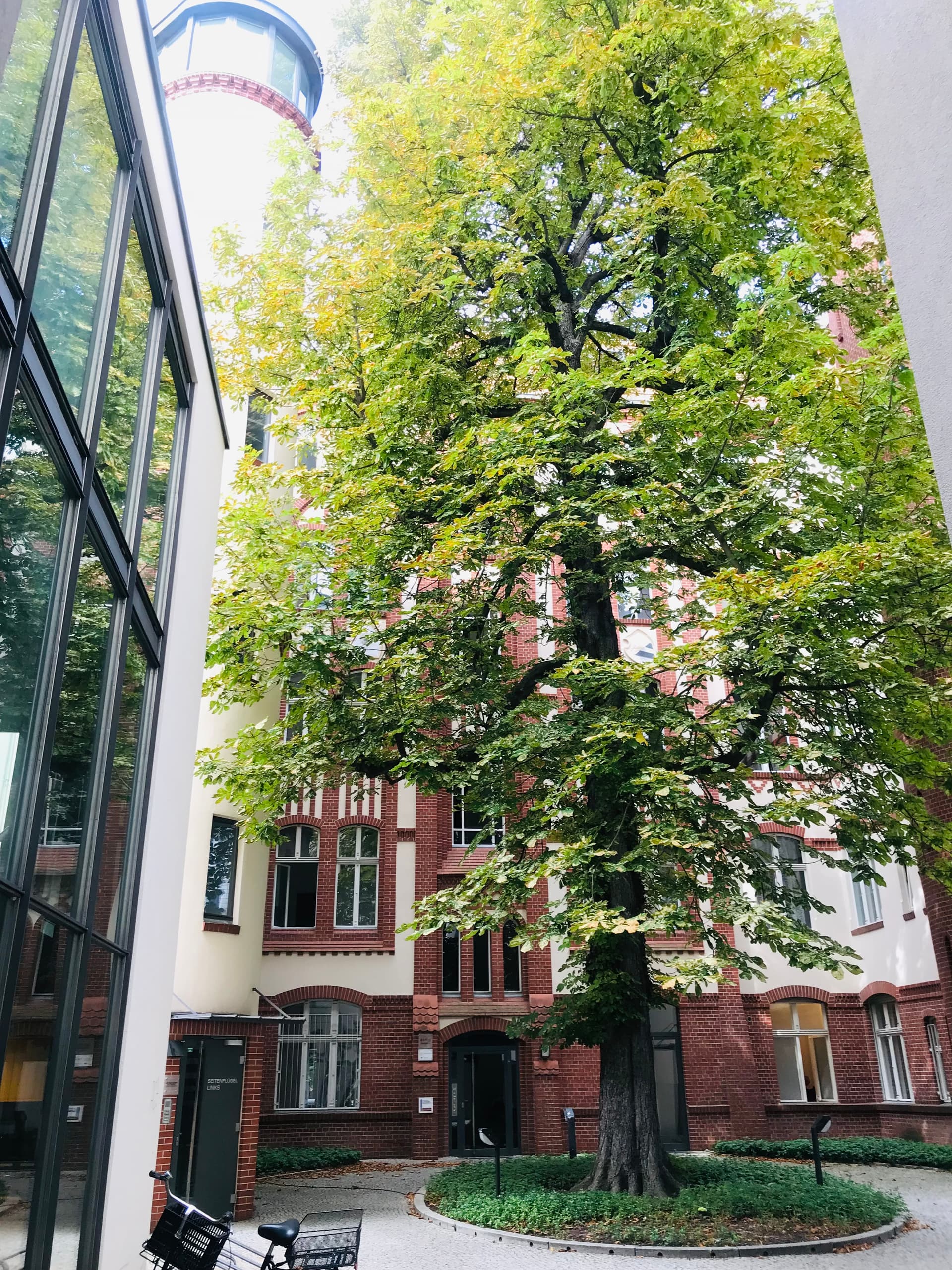 Habelschwerdter Allee 26 – Habe 26 - Image 11